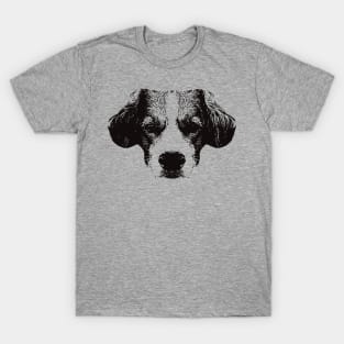 Kooikerhondje gift for Dutch Spaniel Owners T-Shirt